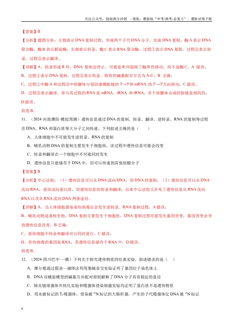 《专题12DNA及其结构与复制（教师版）_06-生物-高考总复习_一轮复习_2025年_2025年高考生物一轮复习考点精讲精练（新高考通用）》第8页预览
