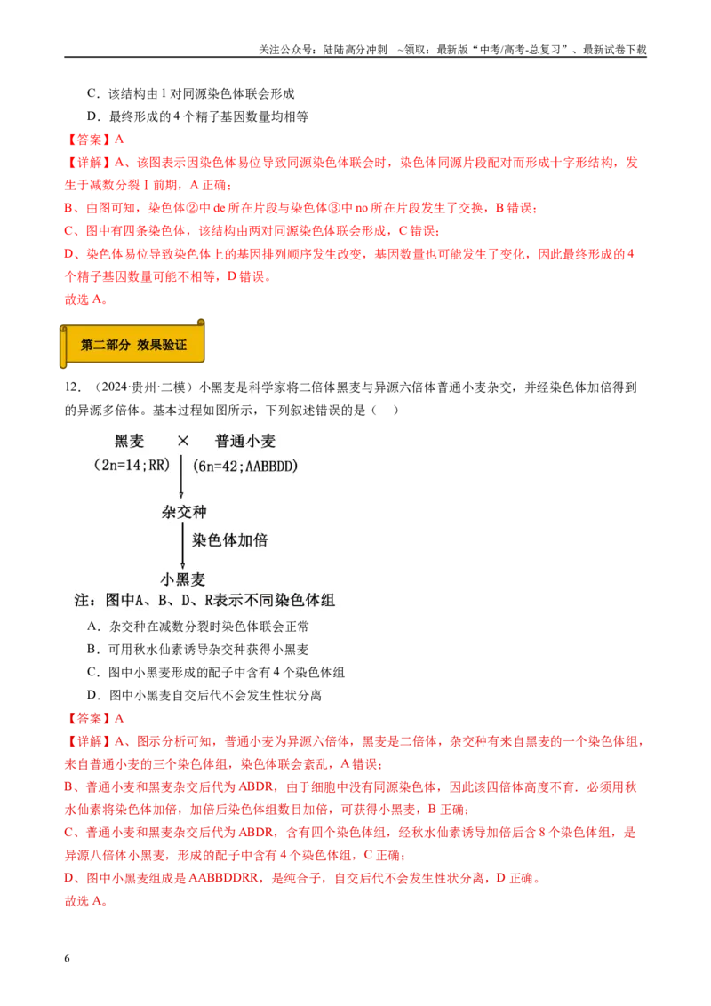 《专题07生物的变异、育种与进化（解析版）_06-生物-高考总复习_专项复习_2025年_2024年高考二模试题分类汇编生物新高考通用》第6页预览