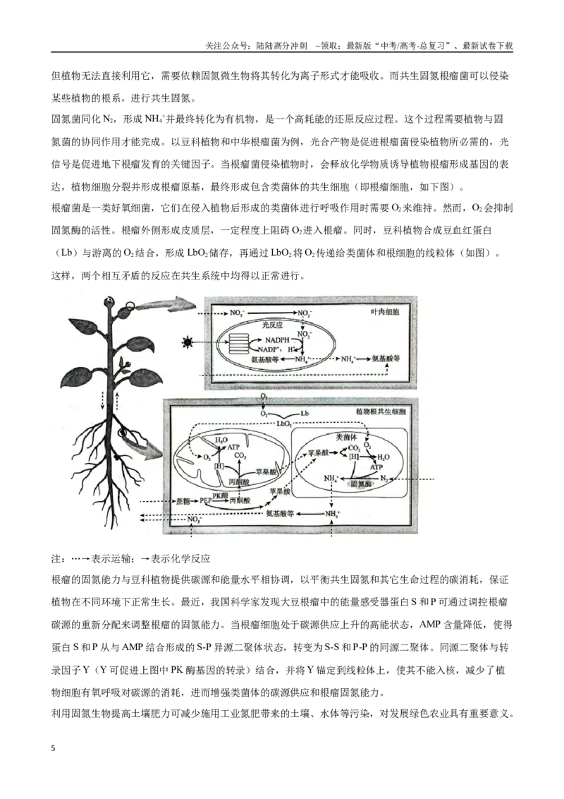 《专题06科技文阅读（北京卷）（原卷版）_06-生物-高考总复习_专项复习_2024年_2024年高考生物考前大题秒杀技巧及专项训练_资料》第5页预览