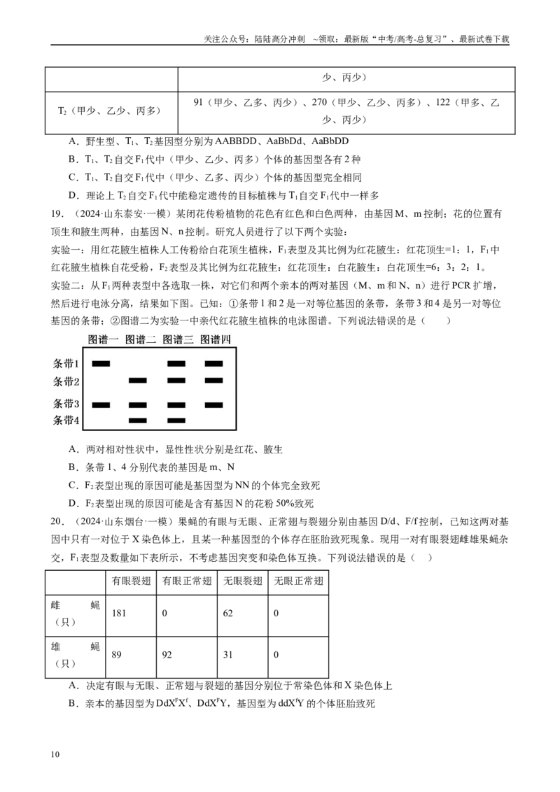 《专题06遗传规律和应用（原卷版）_06-生物-高考总复习_专项复习_2025年_2024年高考一模试题分类汇编生物新高考通用》第10页预览