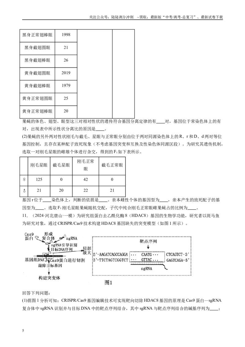 《专题06遗传规律和应用（原卷版）_06-生物-高考总复习_专项复习_2025年_2024年高考一模试题分类汇编生物新高考通用》第5页预览