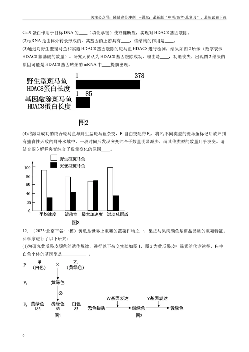 《专题06遗传规律和应用（原卷版）_06-生物-高考总复习_专项复习_2025年_2024年高考一模试题分类汇编生物新高考通用》第6页预览