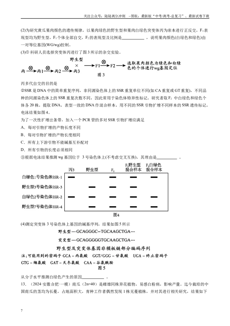 《专题06遗传规律和应用（原卷版）_06-生物-高考总复习_专项复习_2025年_2024年高考一模试题分类汇编生物新高考通用》第7页预览