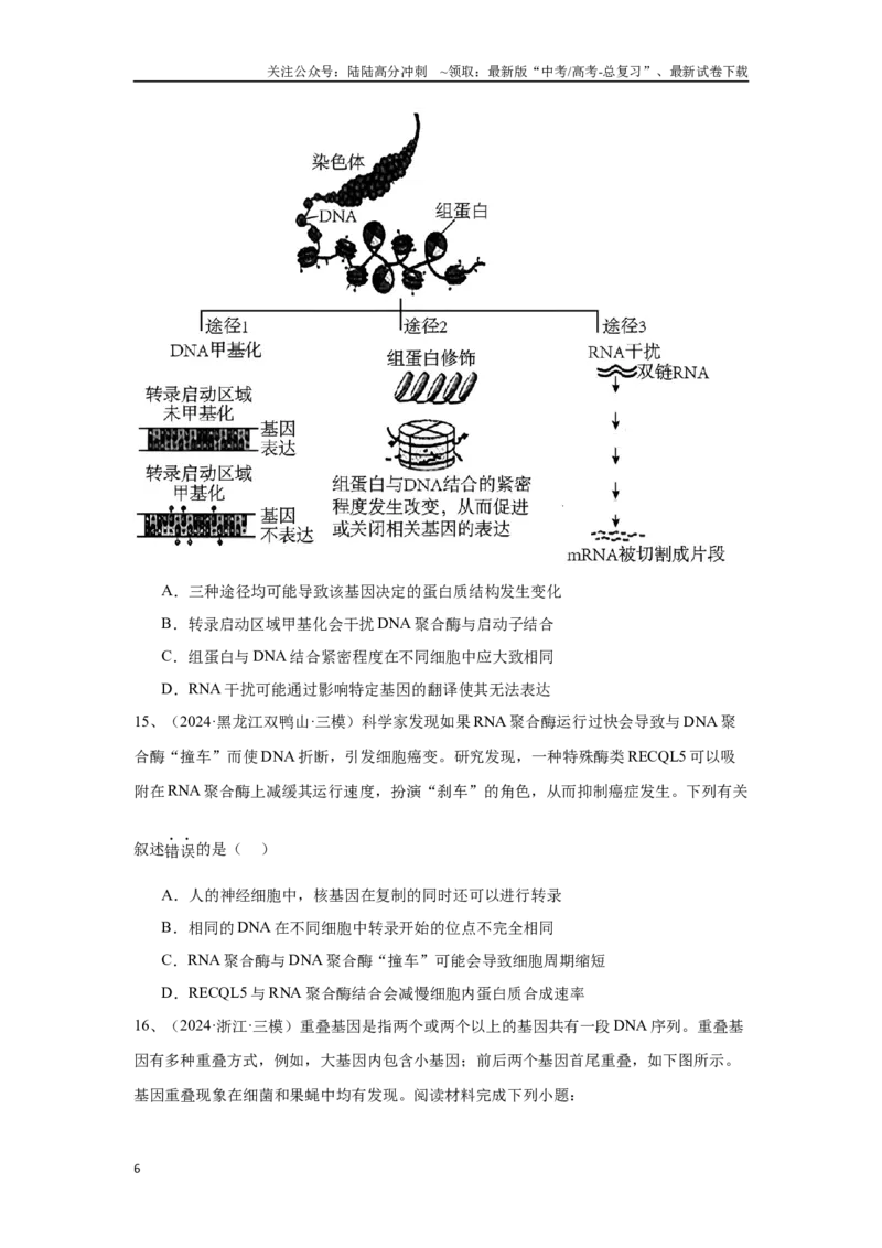 《专题08遗传的物质基础（DNA的结构、复制、转录、翻译）（原卷版）_06-生物-高考总复习_专项复习_2025年_2024年高考三模试题分类汇编生物2新高考通用》第6页预览