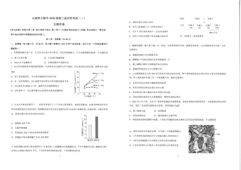 《云南师大附中2026届高考适应性月考卷生物(二)+答案_2024-2027高三（6-6月题库）_2026年06月高三试卷_260601云南师大附中2026届高考适应性月考卷（十）（全科）》第1页预览