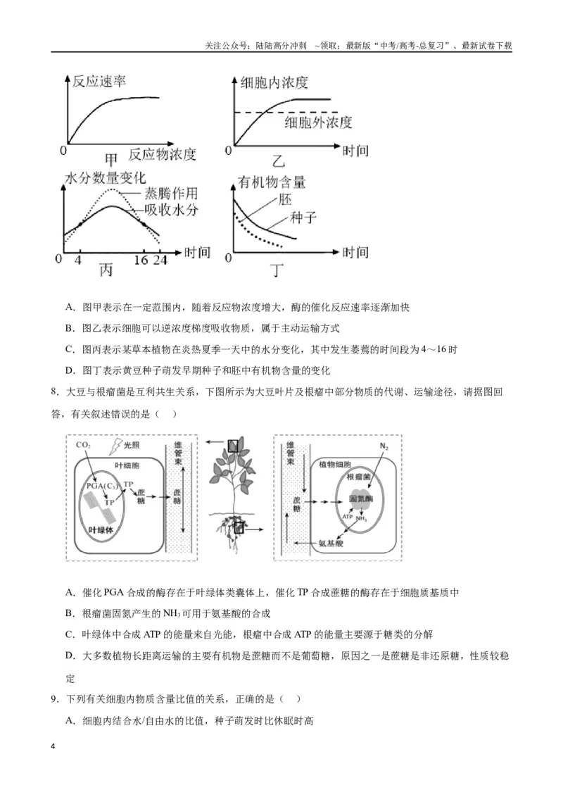 《专题11细胞代谢综合分析（原卷版)_06-生物-高考总复习_一轮复习_2024年_2024年高考生物一轮复习重难点专项突破_资料》第4页预览