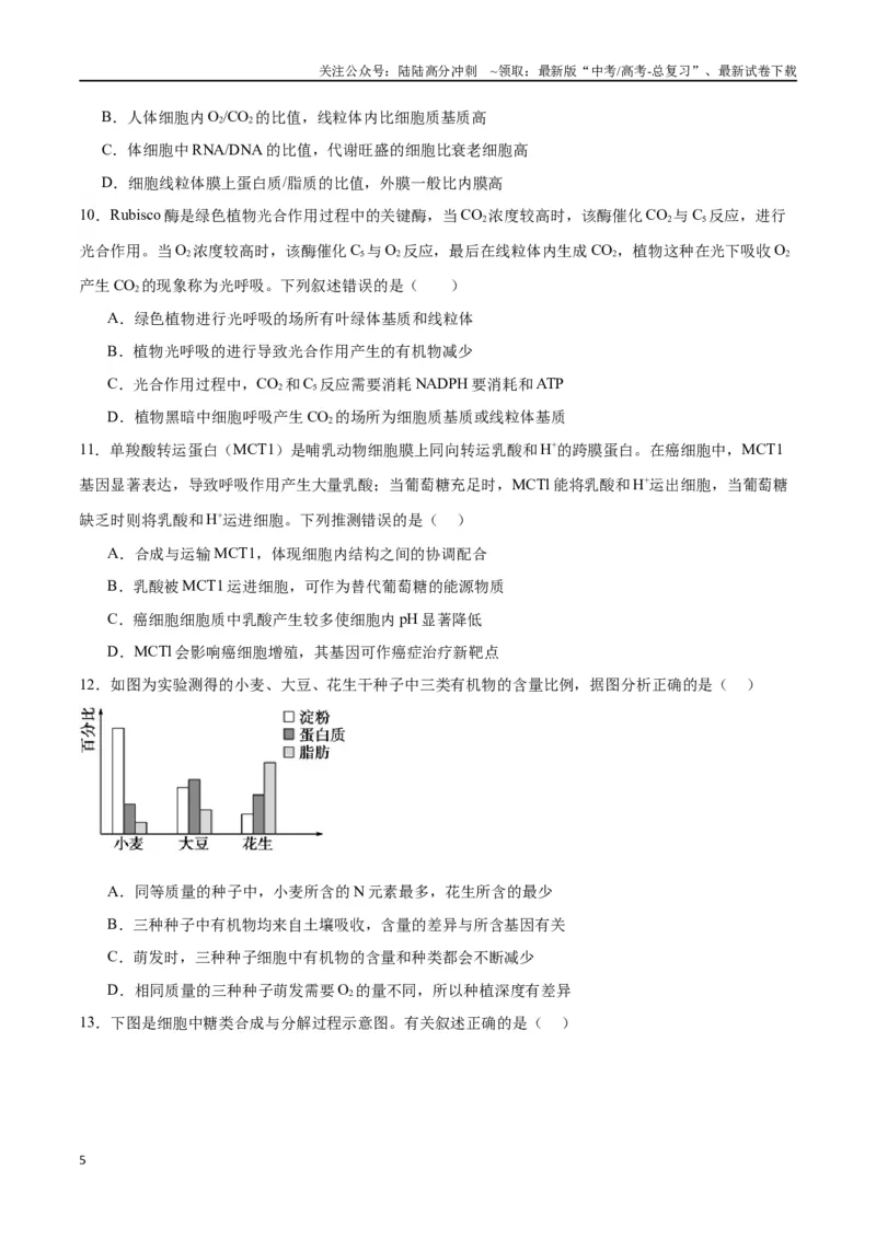 《专题11细胞代谢综合分析（原卷版)_06-生物-高考总复习_一轮复习_2024年_2024年高考生物一轮复习重难点专项突破_资料》第5页预览