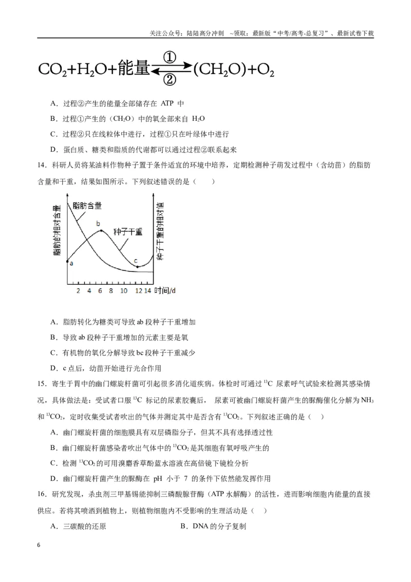 《专题11细胞代谢综合分析（原卷版)_06-生物-高考总复习_一轮复习_2024年_2024年高考生物一轮复习重难点专项突破_资料》第6页预览