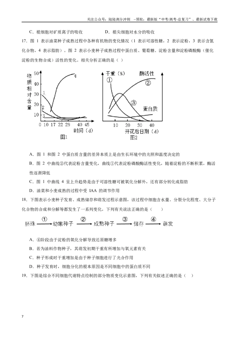 《专题11细胞代谢综合分析（原卷版)_06-生物-高考总复习_一轮复习_2024年_2024年高考生物一轮复习重难点专项突破_资料》第7页预览