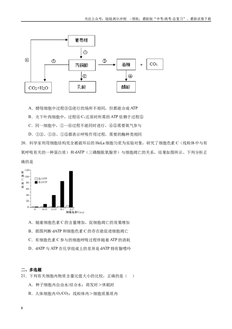 《专题11细胞代谢综合分析（原卷版)_06-生物-高考总复习_一轮复习_2024年_2024年高考生物一轮复习重难点专项突破_资料》第8页预览