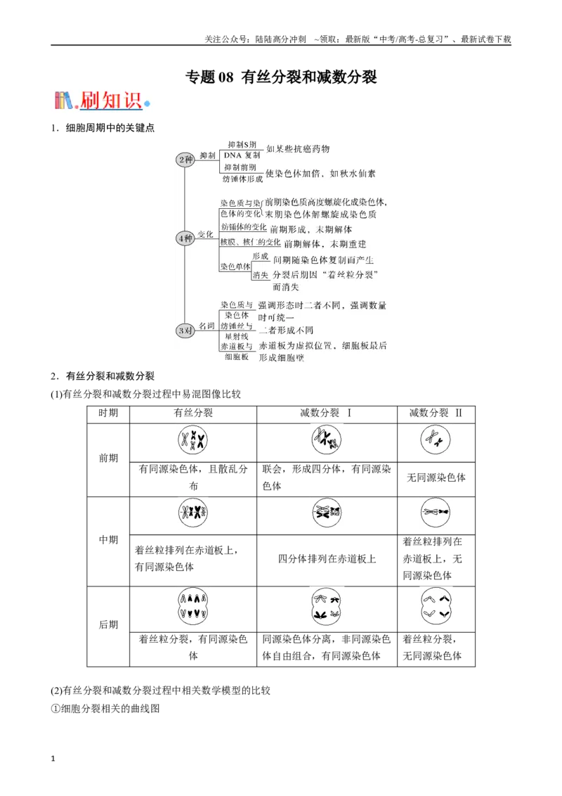 《专题08有丝分裂和减数分裂（原卷版）_06-生物-高考总复习_专项复习_2024年_2024年高考生物经典小题必刷_资料》第1页预览