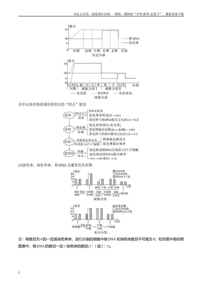 《专题08有丝分裂和减数分裂（原卷版）_06-生物-高考总复习_专项复习_2024年_2024年高考生物经典小题必刷_资料》第2页预览