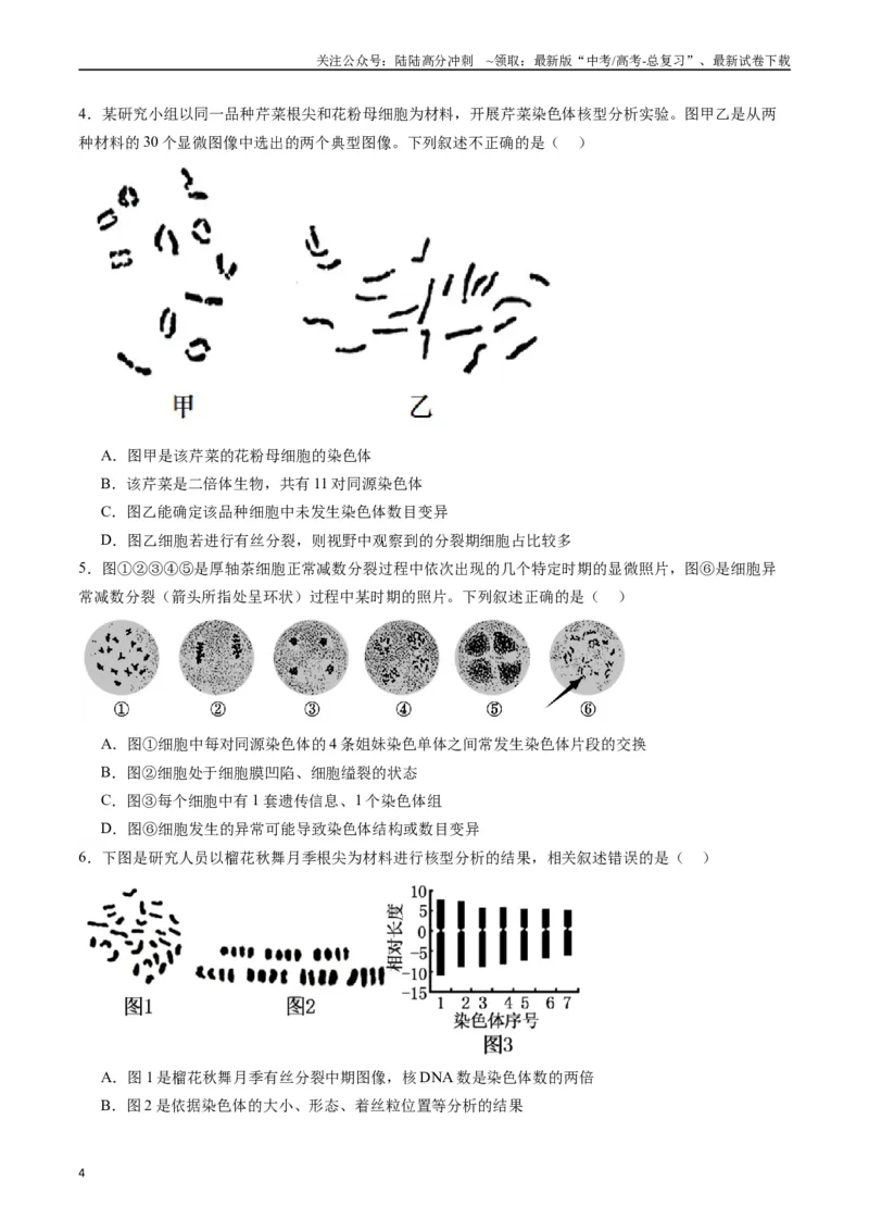 《专题08有丝分裂和减数分裂（原卷版）_06-生物-高考总复习_专项复习_2024年_2024年高考生物经典小题必刷_资料》第4页预览