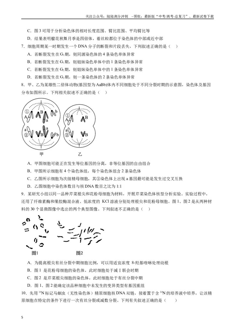 《专题08有丝分裂和减数分裂（原卷版）_06-生物-高考总复习_专项复习_2024年_2024年高考生物经典小题必刷_资料》第5页预览