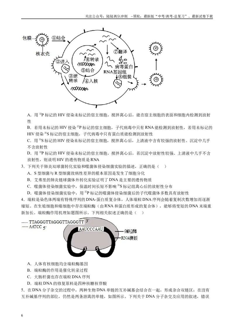 《专题10遗传的分子基础（原卷版）_06-生物-高考总复习_专项复习_2024年_2024年高考生物经典小题必刷_资料》第6页预览
