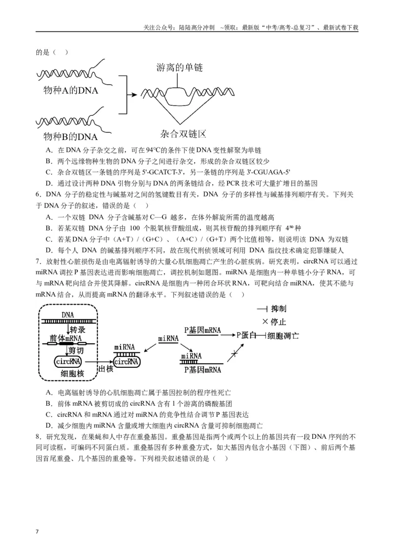 《专题10遗传的分子基础（原卷版）_06-生物-高考总复习_专项复习_2024年_2024年高考生物经典小题必刷_资料》第7页预览