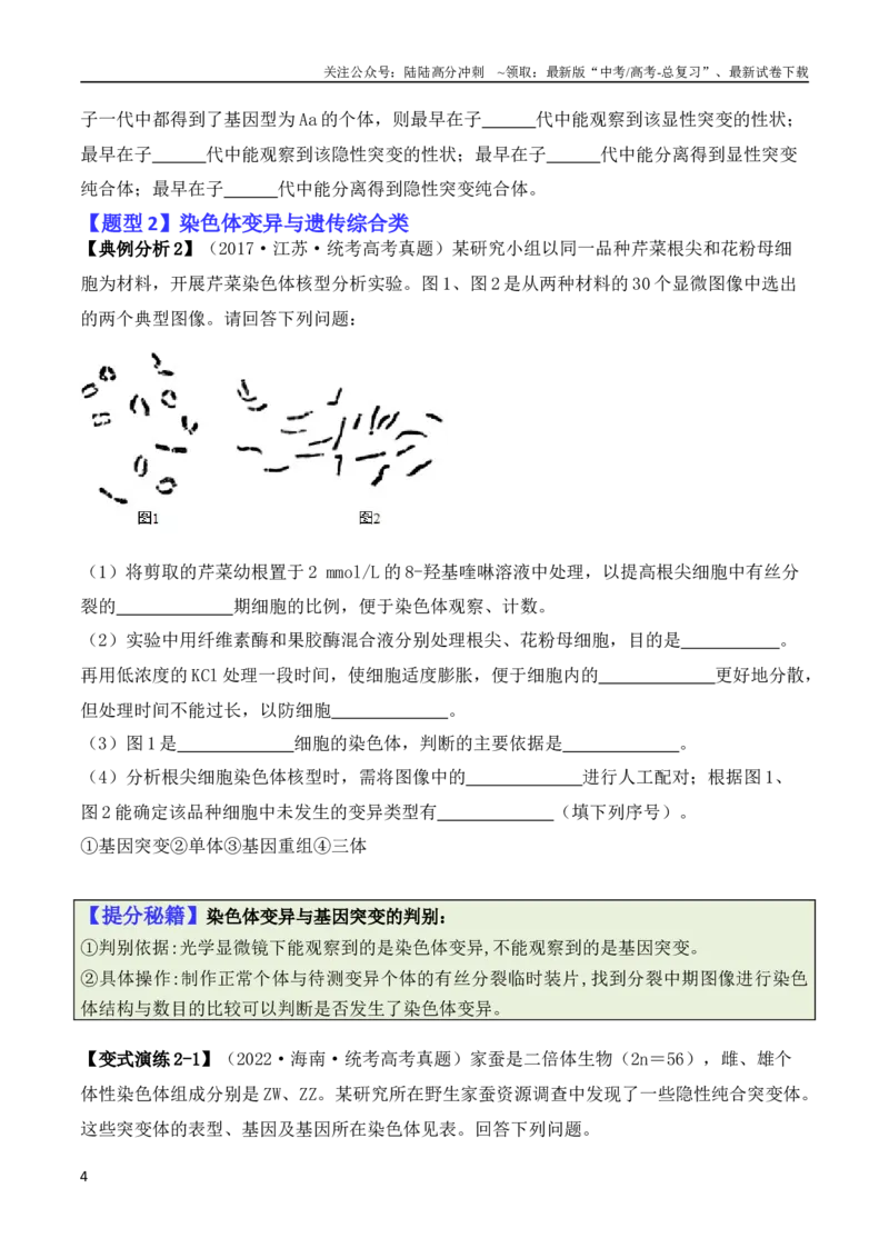《专题07遗传变异（原卷版）_06-生物-高考总复习_二轮复习_2024年_2024高考生物二轮复习热点题型归纳与变式演练解题_资料》第4页预览