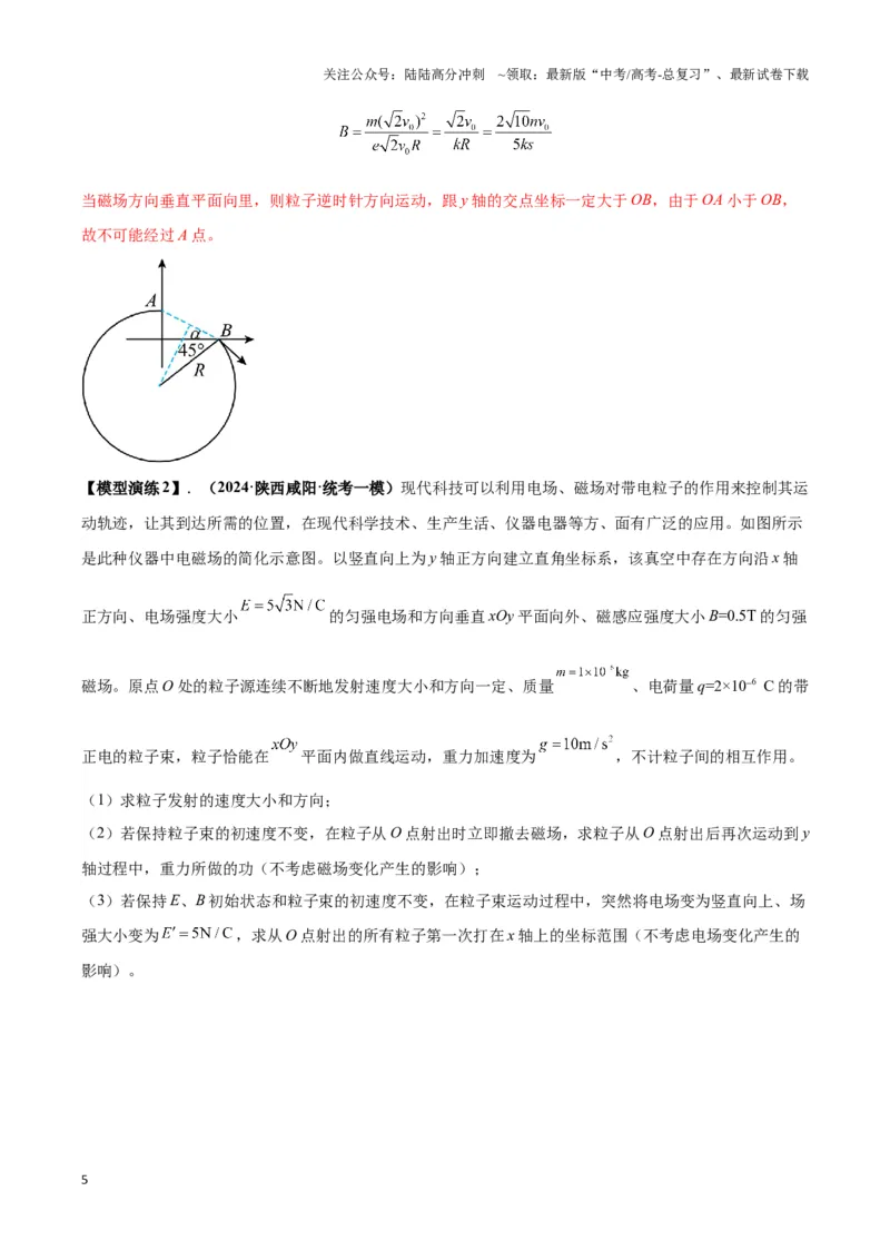 《专题13带电粒子在组（复）合场中运动的核心问题（教师版）_04-物理-高考总复习_专项复习_2025年_2025年高考物理热点模型》第5页预览