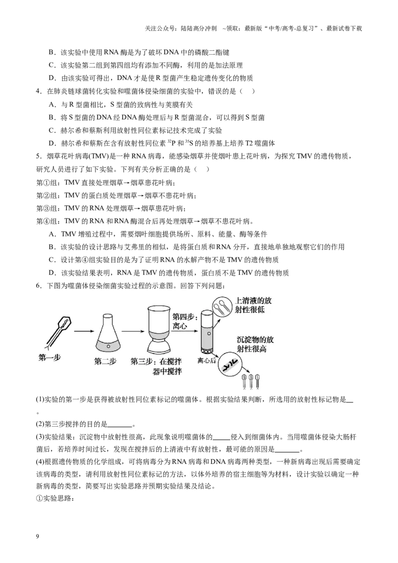 《专题08遗传与进化相关科学史（原卷版）_06-生物-高考总复习_专项复习_2024年_2024年高考生物教材实验梳理与突破实验攻略全国用_资料》第9页预览
