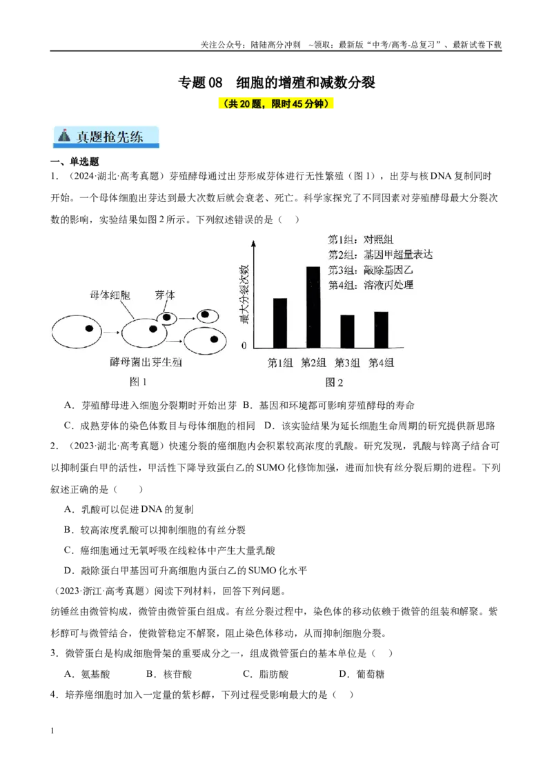 《专题08细胞的增殖和减数分裂（学生版）_06-生物-高考总复习_一轮复习_2025年_2025年高考生物一轮复习考点精讲精练（新高考通用）》第1页预览