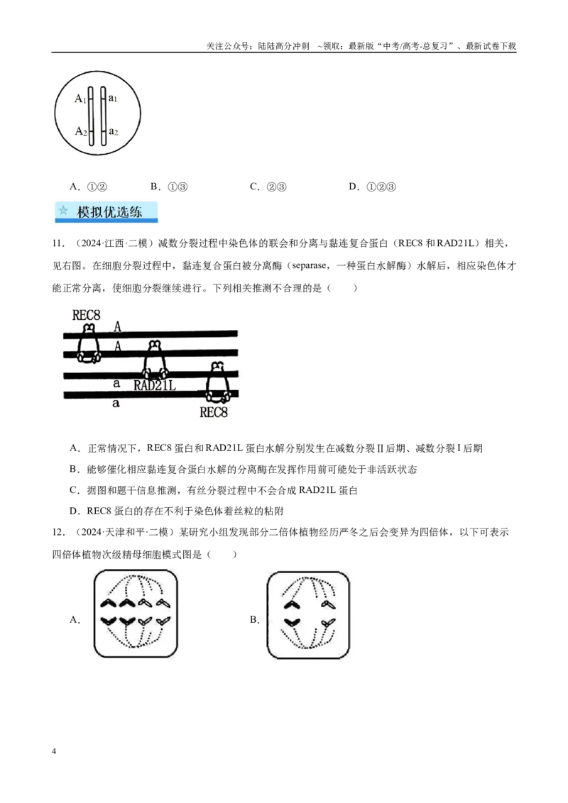 《专题08细胞的增殖和减数分裂（学生版）_06-生物-高考总复习_一轮复习_2025年_2025年高考生物一轮复习考点精讲精练（新高考通用）》第4页预览