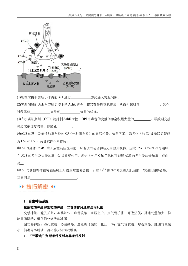 《专题07动物生命活动的调节（讲义）（原卷版）_06-生物-高考总复习_二轮复习_2024年_2024年高考生物二轮复习高频考点追踪与预测（新高考专用）_讲义》第8页预览