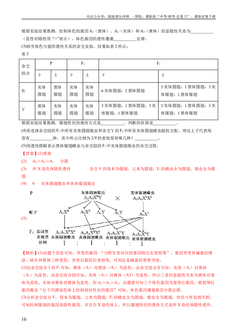 《专题11伴性遗传和人类遗传病-五年（2019-2023）高考生物真题分项汇编（全国通用）（教师版）_06-生物-高考总复习_专项复习_2024年_2019-2023高考生物五年真题分项汇编（全国通用）》第10页预览