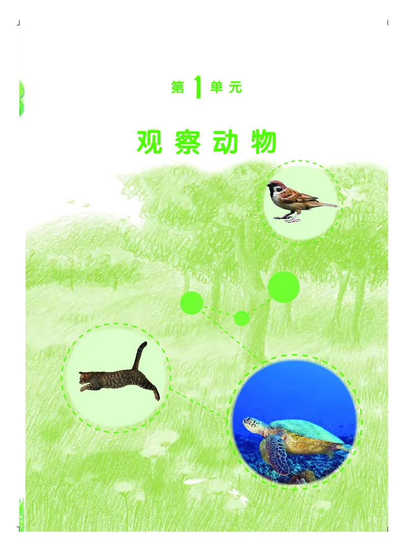 《义务教育教科书科学三年级上册_小学1-6年级全科全套_2025更新专题（含教材）_寒假预复习必备资料2024新版小学教材电子版_小学科学_粤教版（无水印）》第6页预览