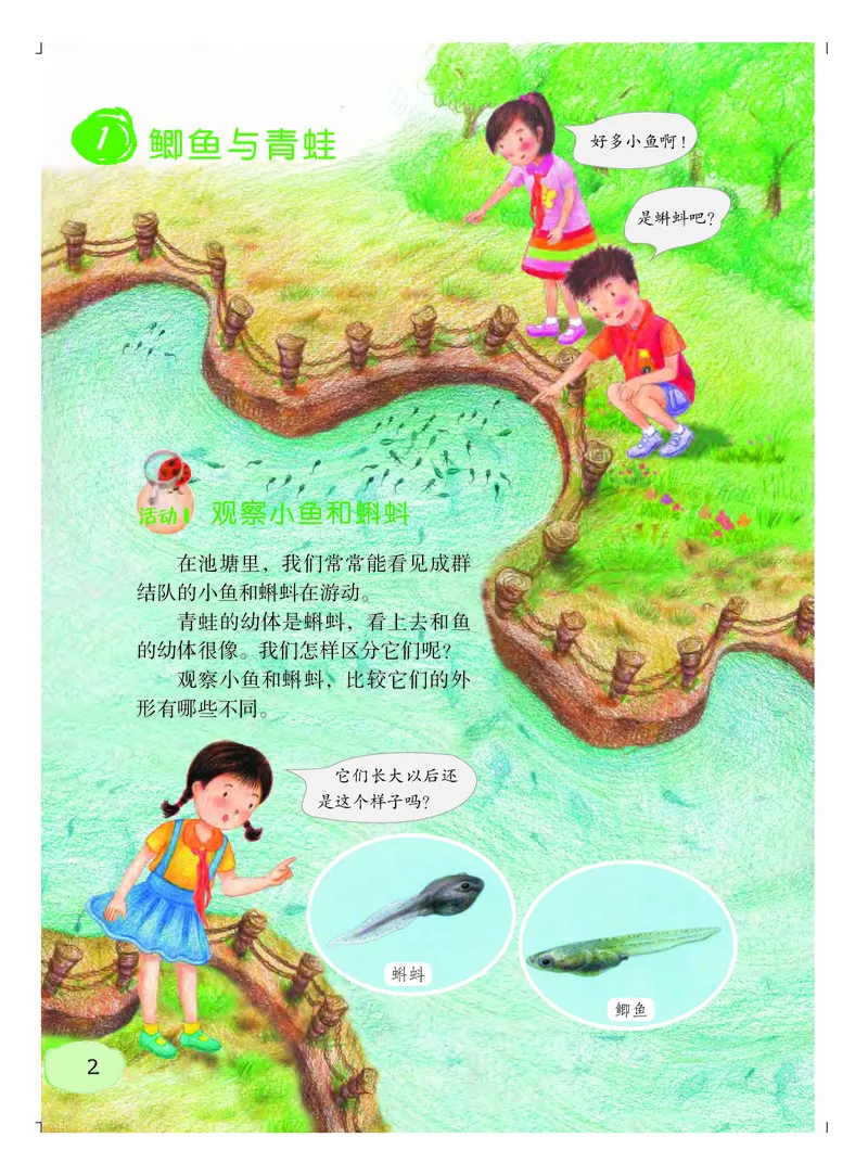 《义务教育教科书科学三年级上册_小学1-6年级全科全套_2025更新专题（含教材）_寒假预复习必备资料2024新版小学教材电子版_小学科学_粤教版（无水印）》第7页预览