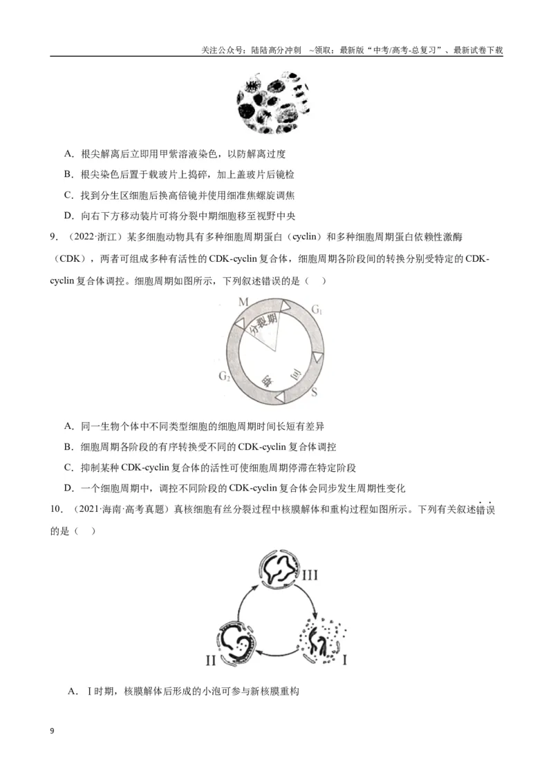 《专题06细胞的生命历程（学生版）_06-生物-高考总复习_专项复习_2024年_2024年高考生物总复习核心题型解读与全攻略新教材_资料》第9页预览