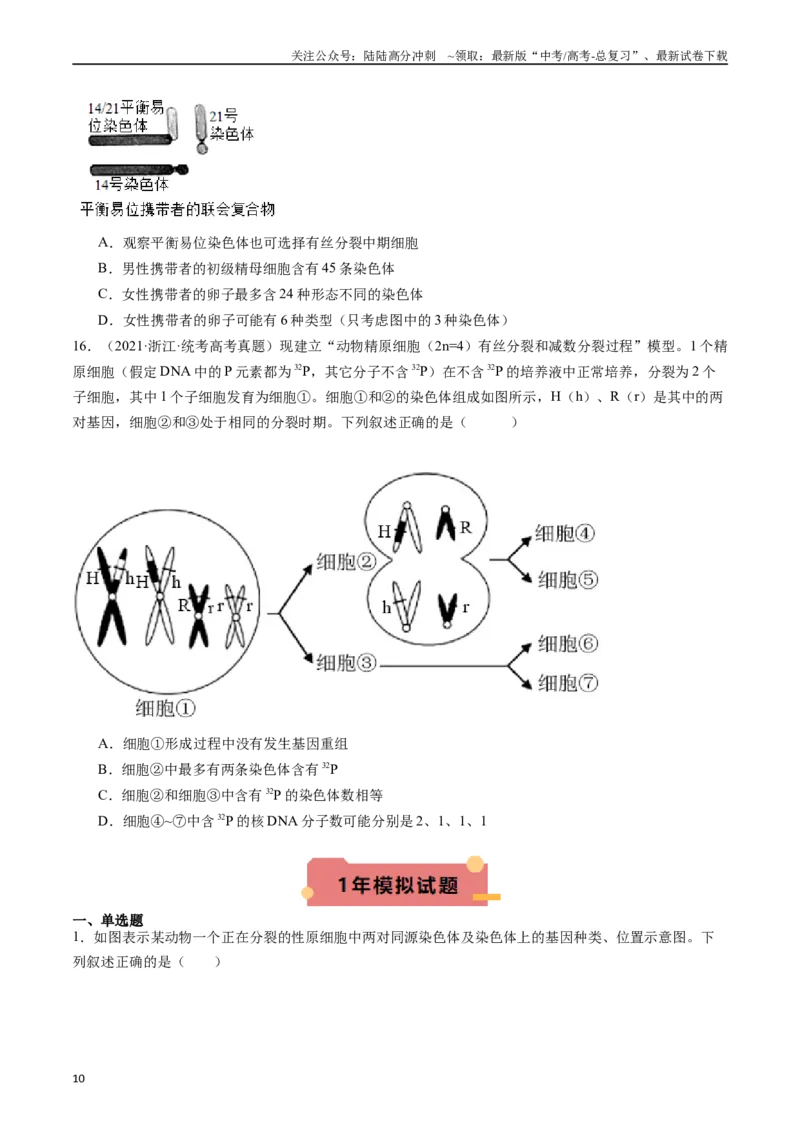 《专题08有丝分裂和减数分裂（原卷版）_06-生物-高考总复习_专项复习_2024年_2024年新高考生物复习热点考点真题模拟题必刷题练_资料》第10页预览