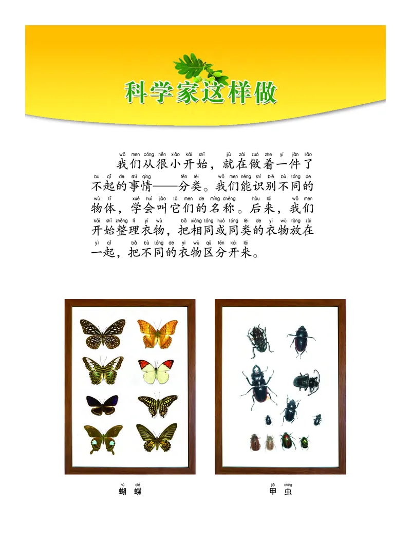 《义务教育教科书-科学-一年级下册_小学1-6年级全科全套_2025更新专题（含教材）_寒假预复习必备资料2024新版小学教材电子版_小学科学_教科版（无水印）》第3页预览