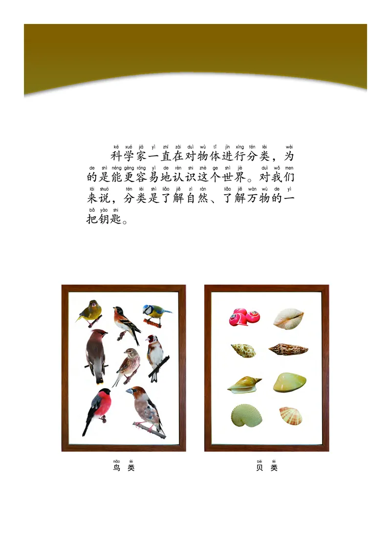 《义务教育教科书-科学-一年级下册_小学1-6年级全科全套_2025更新专题（含教材）_寒假预复习必备资料2024新版小学教材电子版_小学科学_教科版（无水印）》第4页预览