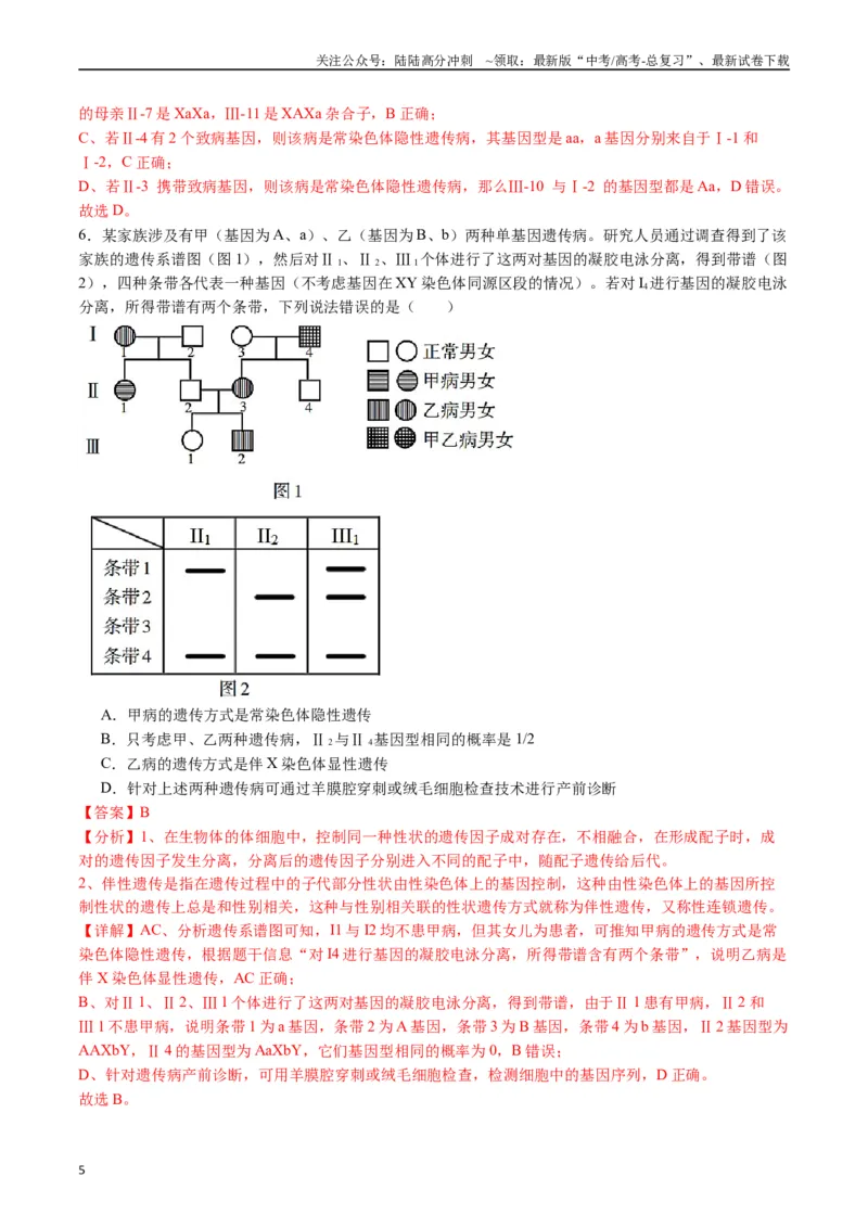 《专题13伴性遗传和人类遗传病（解析版）_06-生物-高考总复习_专项复习_2024年_2024年高考生物经典小题必刷_资料》第5页预览