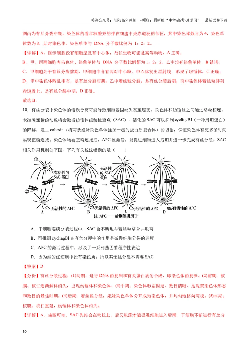《专题12细胞增殖（解析版)_06-生物-高考总复习_一轮复习_2024年_2024年高考生物一轮复习重难点专项突破_资料》第10页预览
