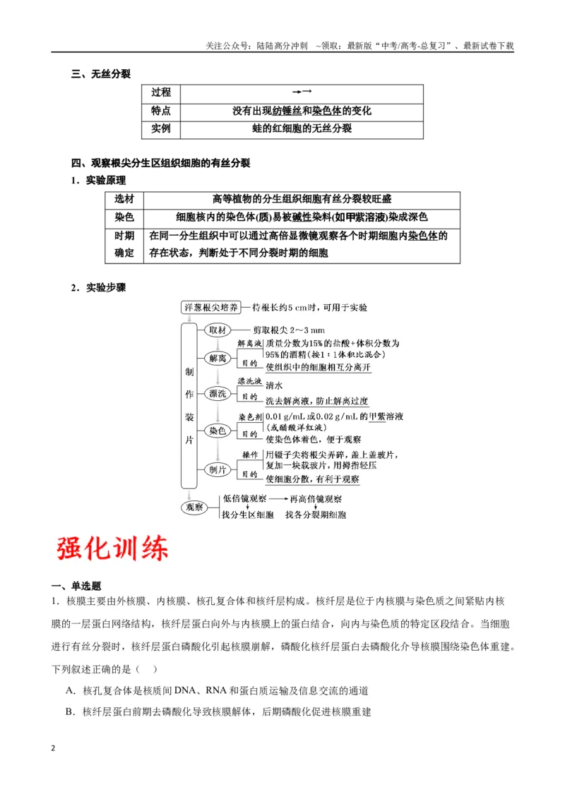《专题12细胞增殖（解析版)_06-生物-高考总复习_一轮复习_2024年_2024年高考生物一轮复习重难点专项突破_资料》第2页预览