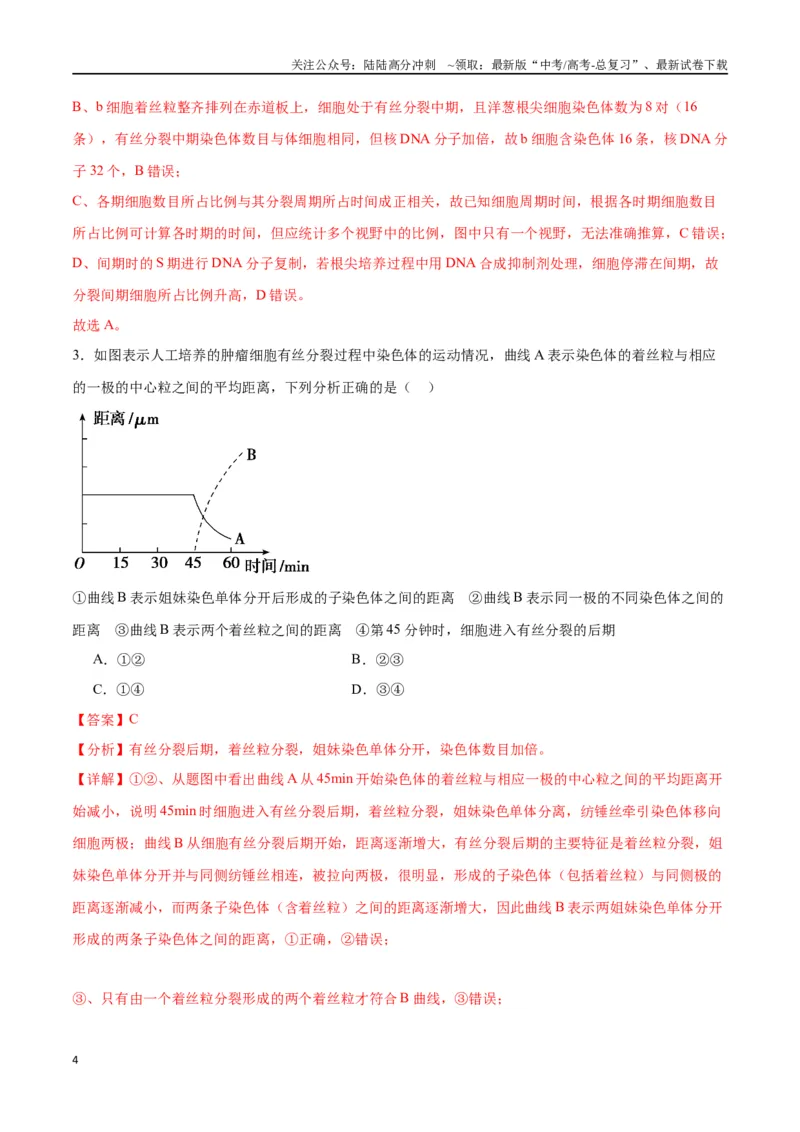 《专题12细胞增殖（解析版)_06-生物-高考总复习_一轮复习_2024年_2024年高考生物一轮复习重难点专项突破_资料》第4页预览