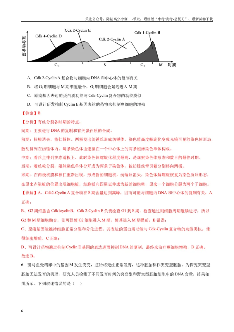 《专题12细胞增殖（解析版)_06-生物-高考总复习_一轮复习_2024年_2024年高考生物一轮复习重难点专项突破_资料》第6页预览