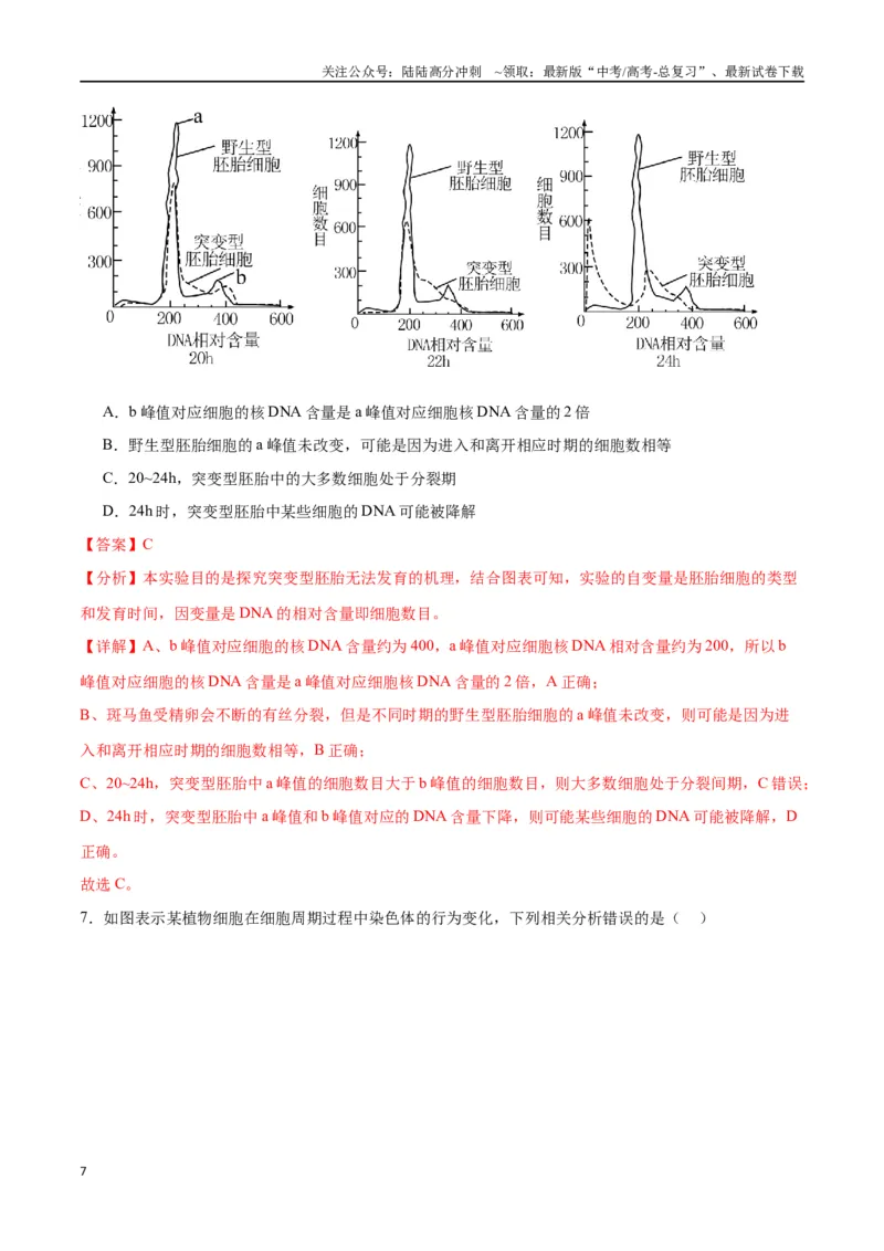《专题12细胞增殖（解析版)_06-生物-高考总复习_一轮复习_2024年_2024年高考生物一轮复习重难点专项突破_资料》第7页预览