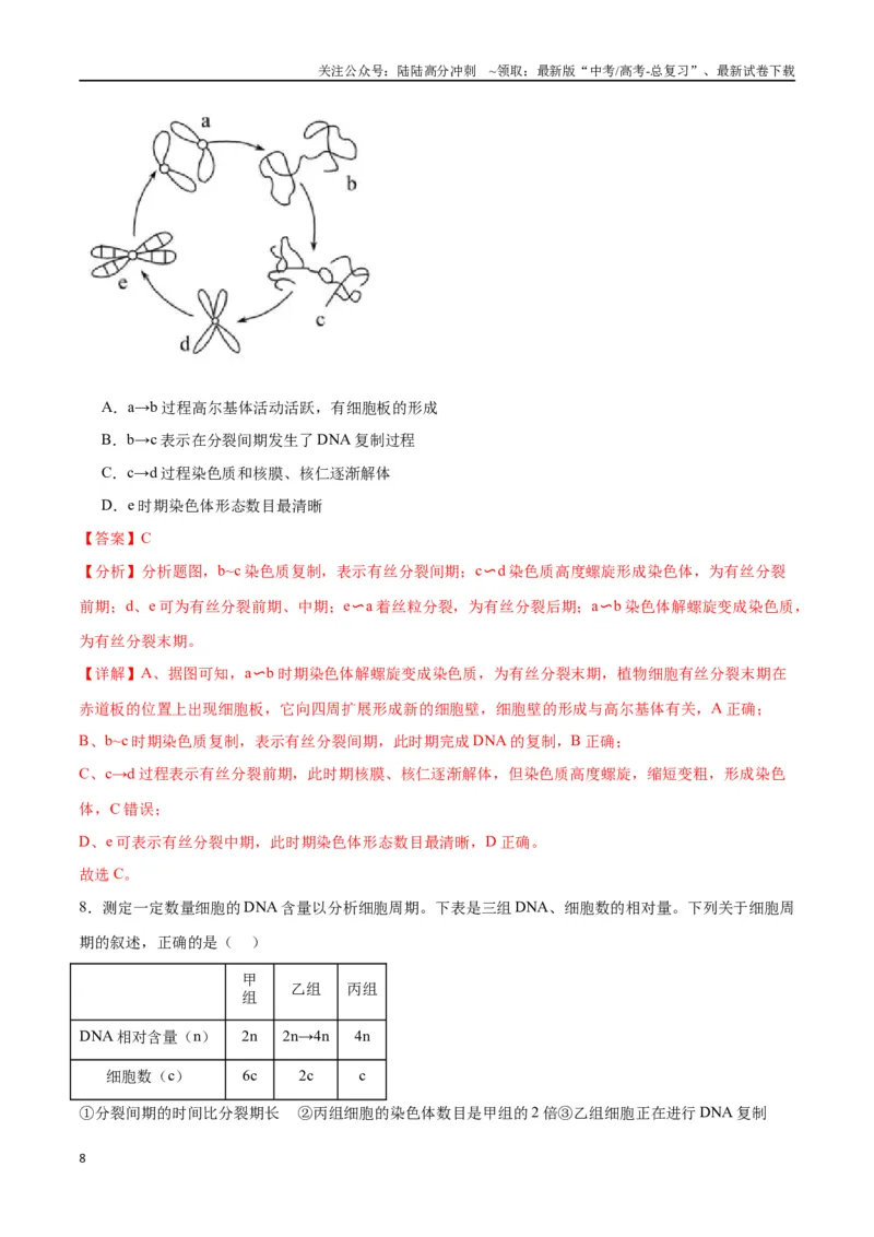 《专题12细胞增殖（解析版)_06-生物-高考总复习_一轮复习_2024年_2024年高考生物一轮复习重难点专项突破_资料》第8页预览
