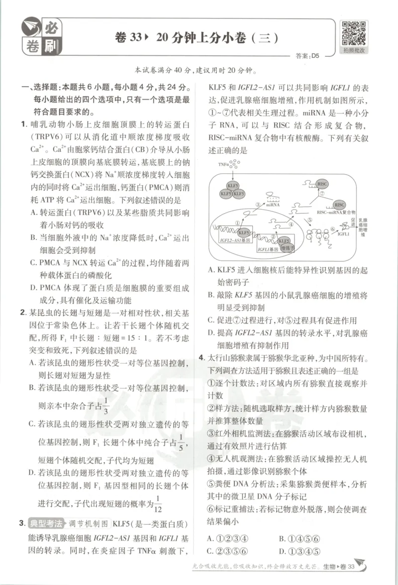 《上分小卷（答案在后面）_2027版《高考必刷卷42套》_2027版高考《必刷卷42套》高考上分模拟卷（生物）通用版》第7页预览