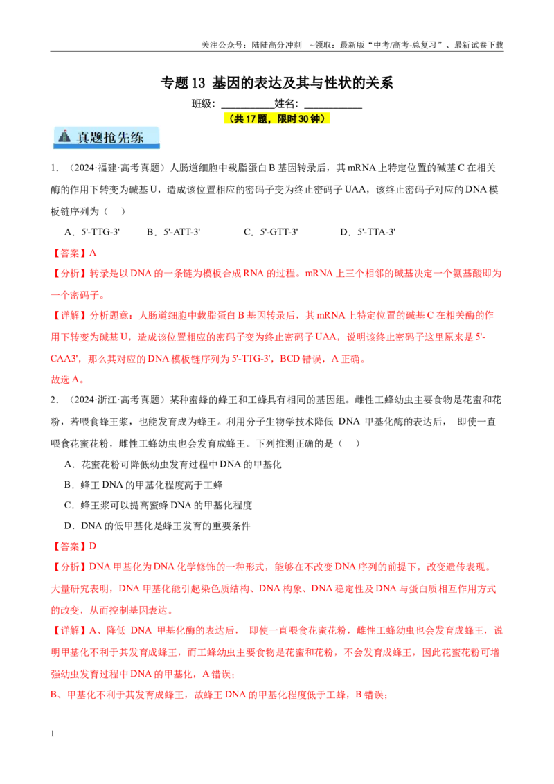《专题13基因的表达及其与性状的关系（教师版）_06-生物-高考总复习_一轮复习_2025年_2025年高考生物一轮复习考点精讲精练（新高考通用）》第1页预览