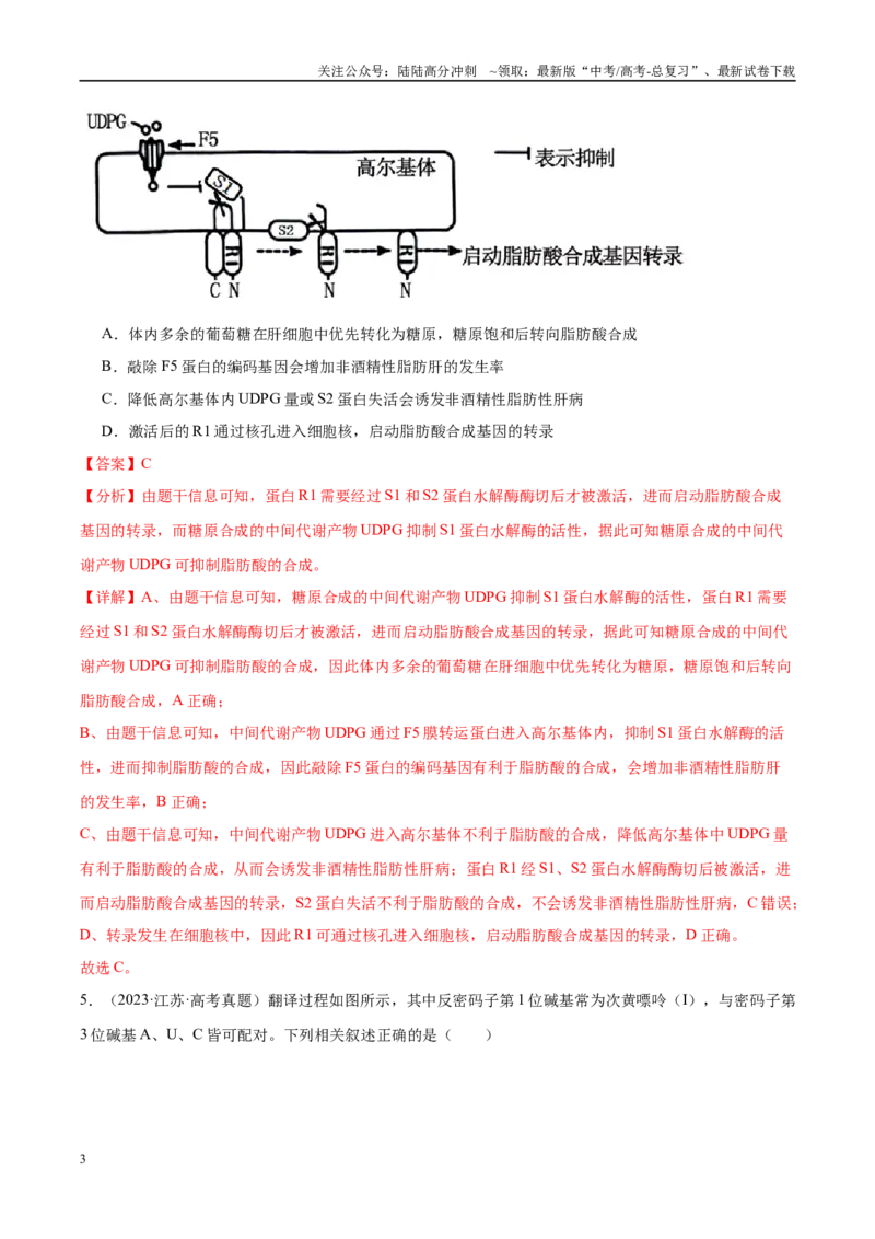 《专题13基因的表达及其与性状的关系（教师版）_06-生物-高考总复习_一轮复习_2025年_2025年高考生物一轮复习考点精讲精练（新高考通用）》第3页预览