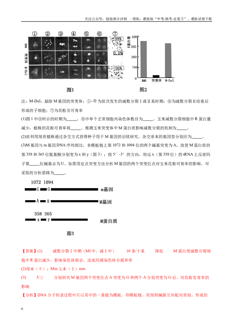 《专题13基因的表达及其与性状的关系（教师版）_06-生物-高考总复习_一轮复习_2025年_2025年高考生物一轮复习考点精讲精练（新高考通用）》第6页预览