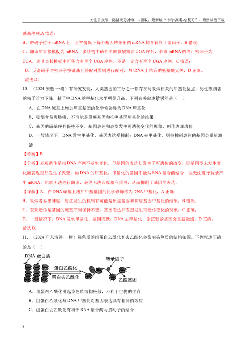 《专题13基因的表达及其与性状的关系（教师版）_06-生物-高考总复习_一轮复习_2025年_2025年高考生物一轮复习考点精讲精练（新高考通用）》第8页预览