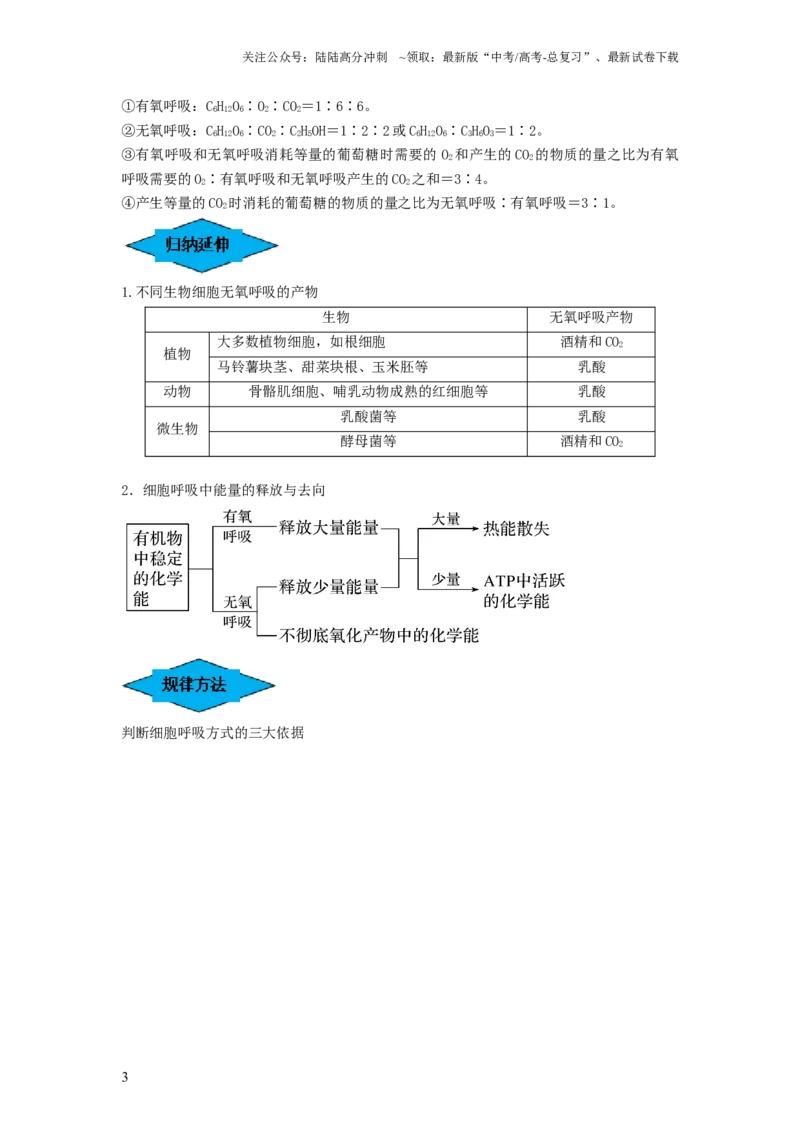 《专题08细胞呼吸（串讲）（解析版）_06-生物-高考总复习_一轮复习_2024年_2024年高考生物一轮复习串讲精练知识点梳理练习题_串讲》第3页预览
