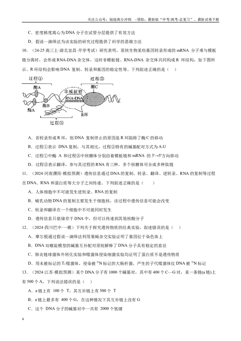《专题12DNA及其结构与复制（学生版）_06-生物-高考总复习_一轮复习_2025年_2025年高考生物一轮复习考点精讲精练（新高考通用）》第4页预览