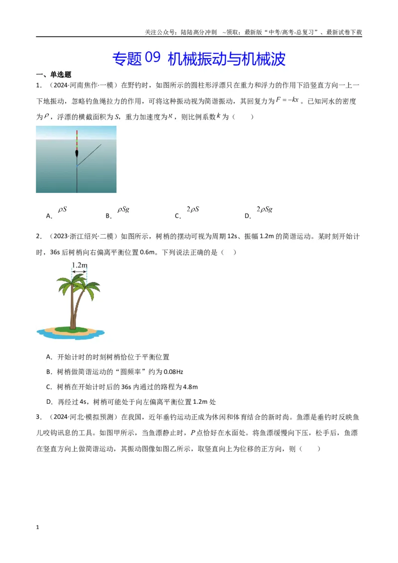 《专题09机械振动与机械波（原卷版）_04-物理-高考总复习_专项复习_2024年_2024届新高考物理冲刺专项训练300题_资料》第1页预览