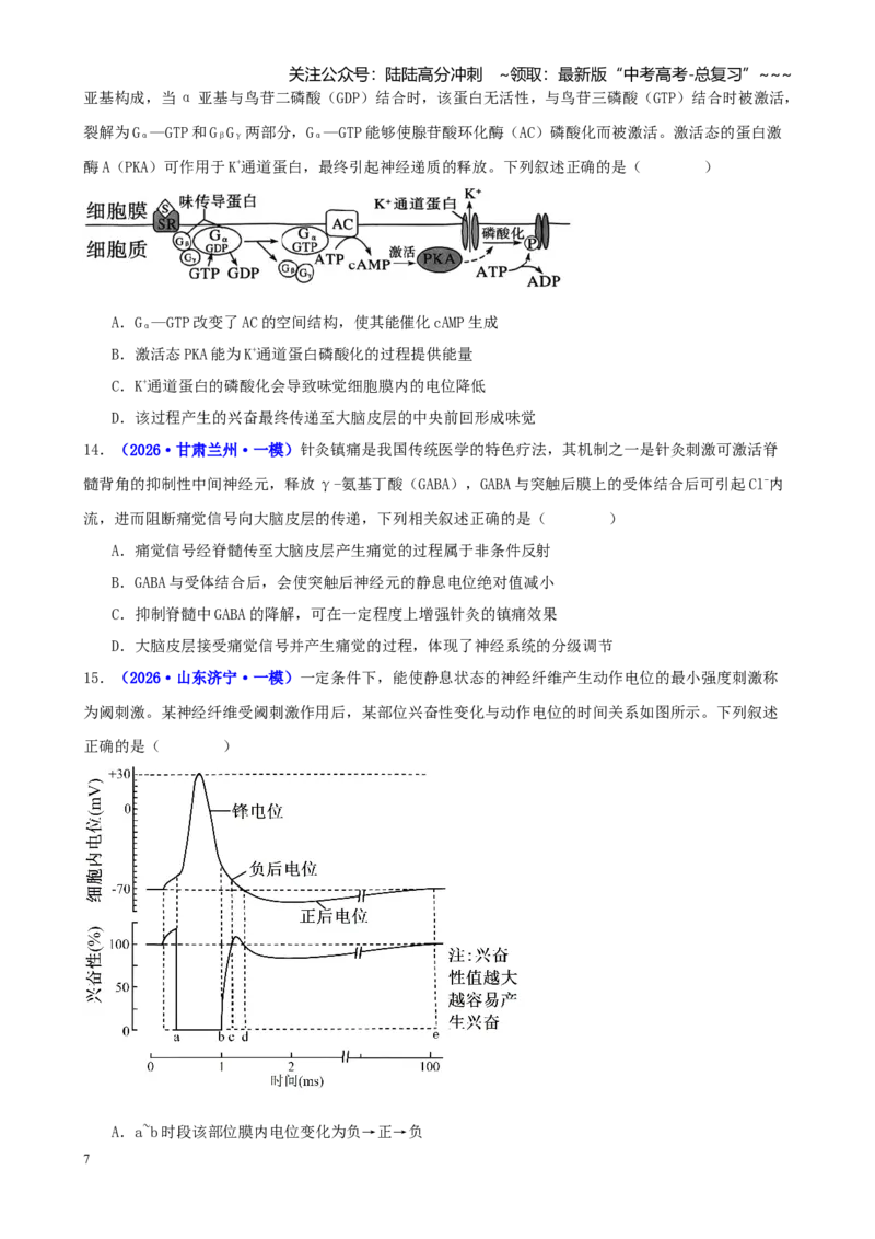 《专题07内环境稳态与神经调节（学生版）_06-生物-高考总复习_专项复习_2026年-生物高考专项复习_2026年高考生物一模试题分类汇编（新高考通用）-G178_2026版》第7页预览