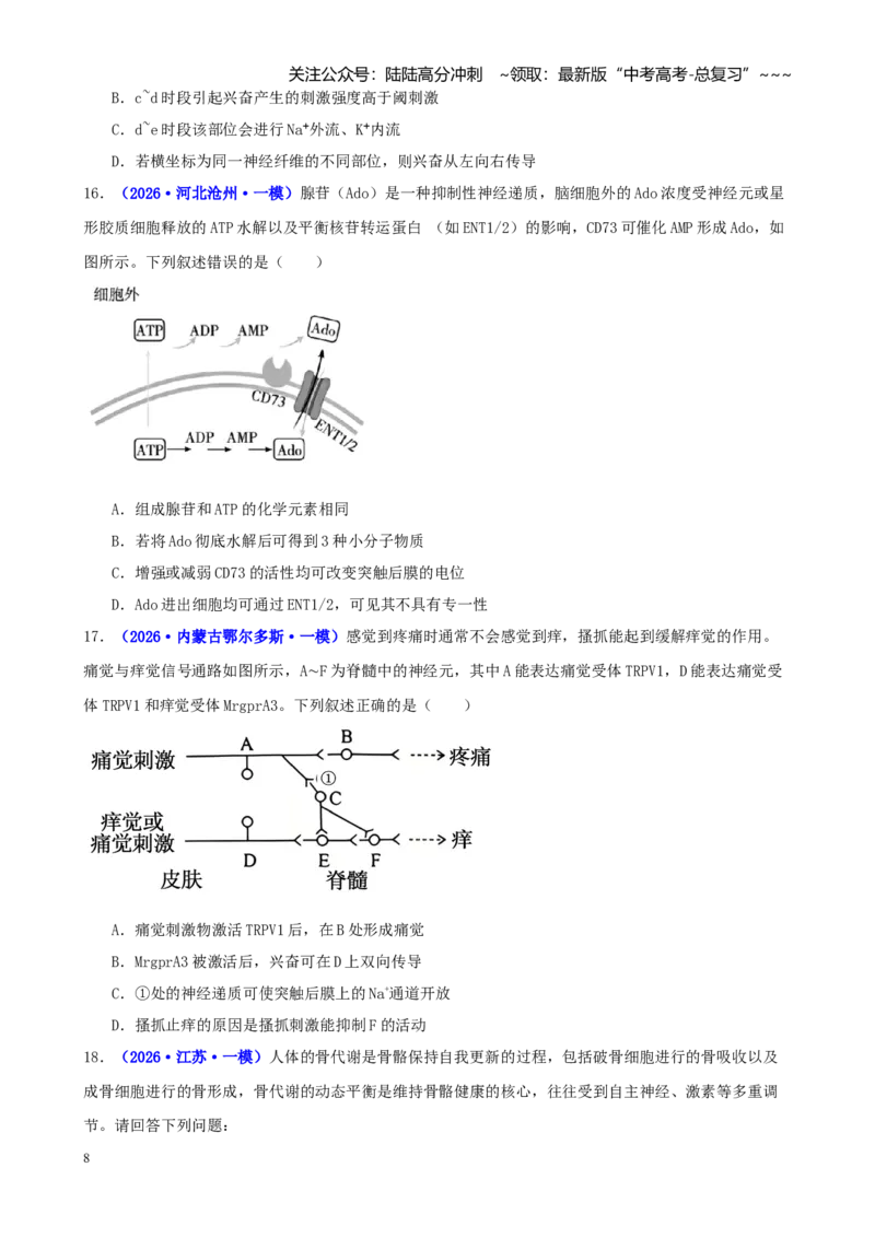 《专题07内环境稳态与神经调节（学生版）_06-生物-高考总复习_专项复习_2026年-生物高考专项复习_2026年高考生物一模试题分类汇编（新高考通用）-G178_2026版》第8页预览